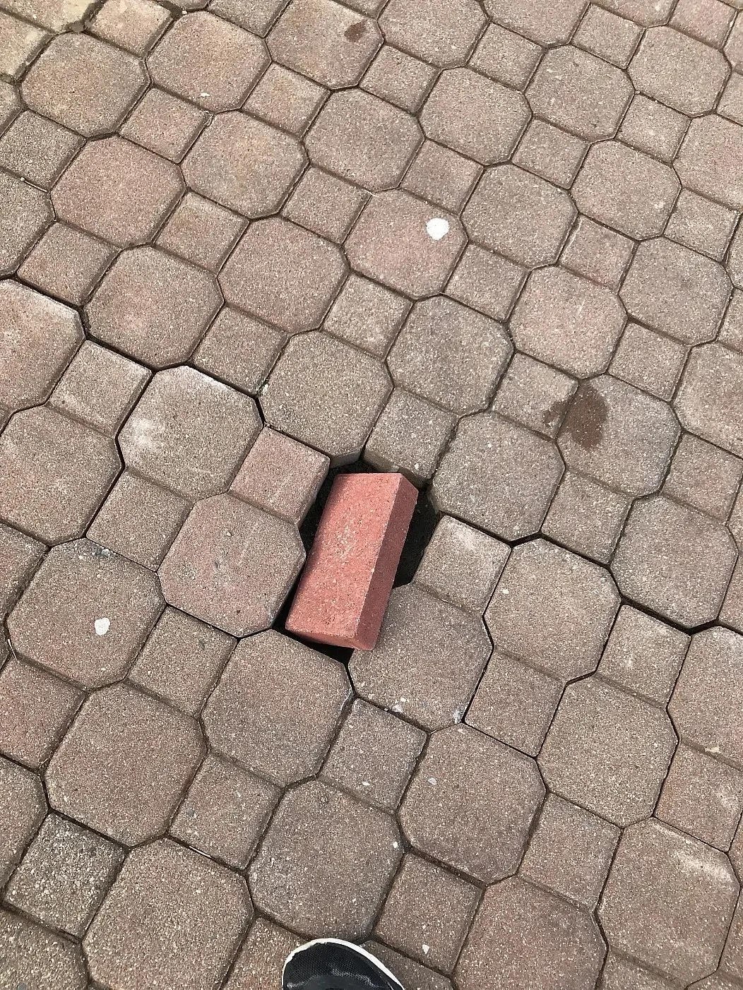 Describe this image